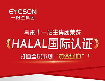 喜讯 | 一阳生集团荣获HALAL国际认证,打通全球市场“黄金通道”!