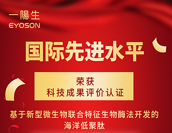新突破 | 一阳生集团荣获国际先进水平认证,彰显科研实力与创新价值