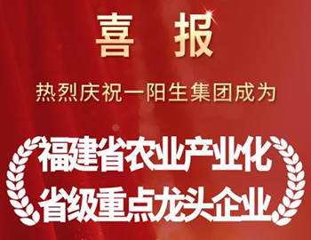喜报|一阳生集团获评“福建省农业产业化省级重点龙头企业”，以硬核科技驱动农业现代化